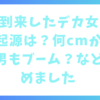 急に到来したデカ女ブーム！なぜ？起源は？何cmから？ちび男もブーム？などまとめました