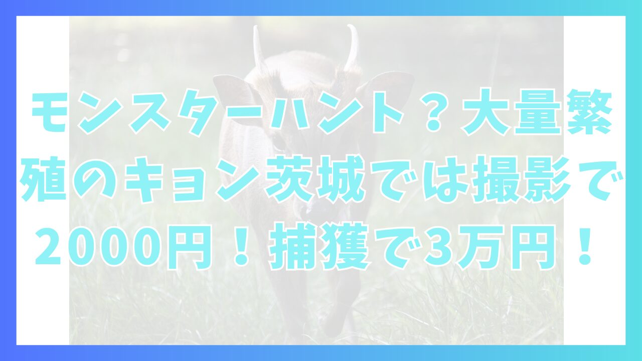 モンスターハント？大量繁殖のキョン茨城では撮影で2000円！捕獲で3万円！